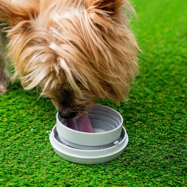 scomparto snack guinzaglio cane accessorio addestramento